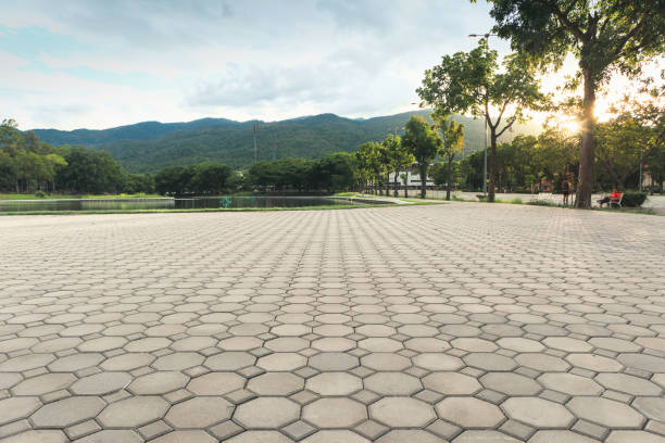 Best Driveway Pavers Near Me  in Ringwood, NJ